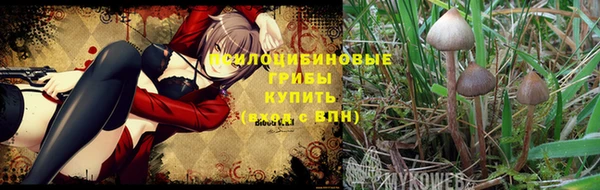 тгк Балахна