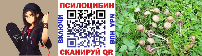 Галлюциногенные грибы MAGIC MUSHROOMS  Красный Сулин 